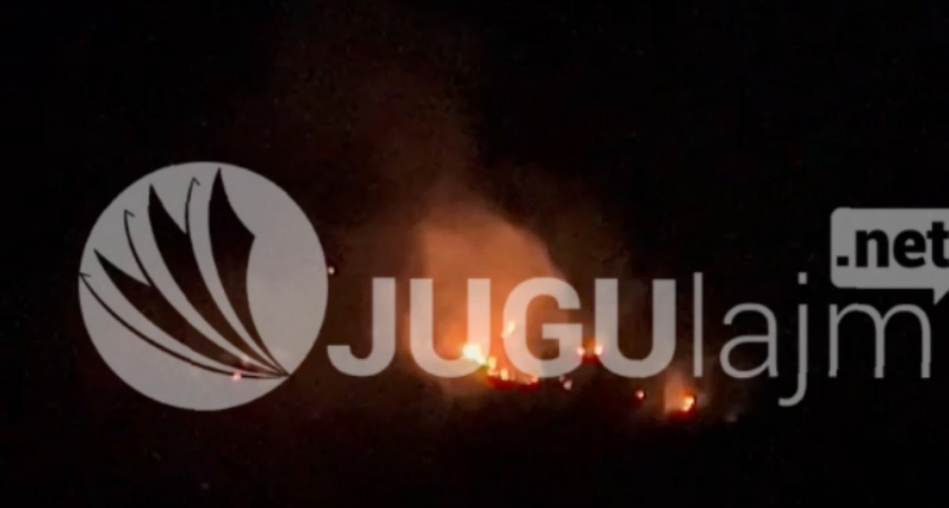 VIDEO/ Zjarrvënie e qëllimshme në shpatin e malit të Kardhiqit
